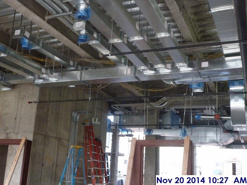 Continued installing sprinkler branches at the 1st floor Facing North